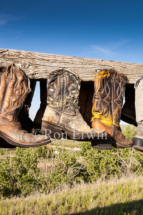 Cowboy Boots