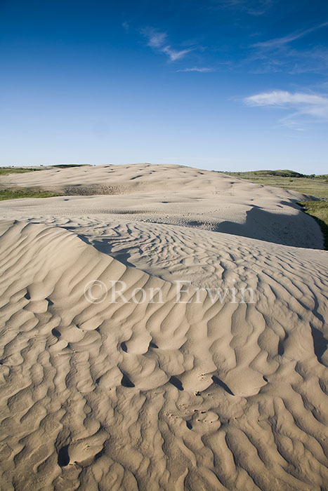 The Great Sandhills