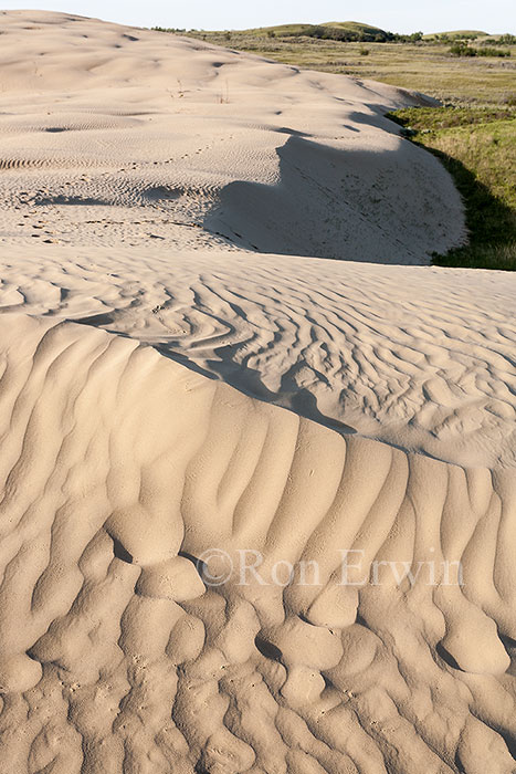 Great Sandhills, Saskatchewan