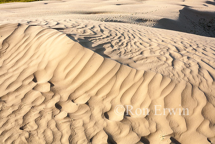 Great Sandhills, Saskatchewan