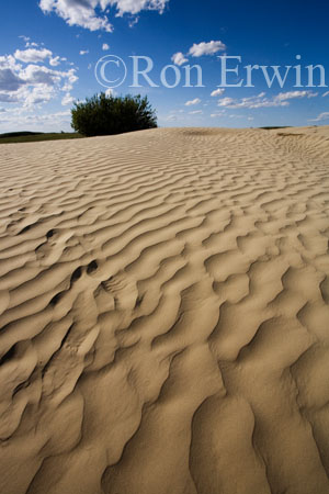 The Great Sandhills