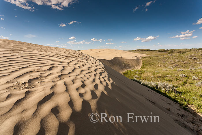Great Sandhills, Saskatchewan