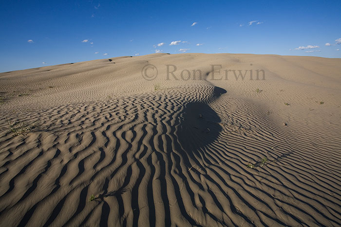 Great Sandhills