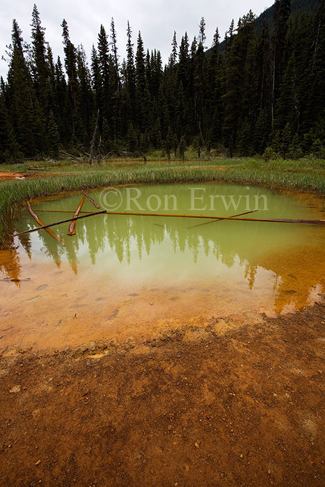Ochre Paint Pots