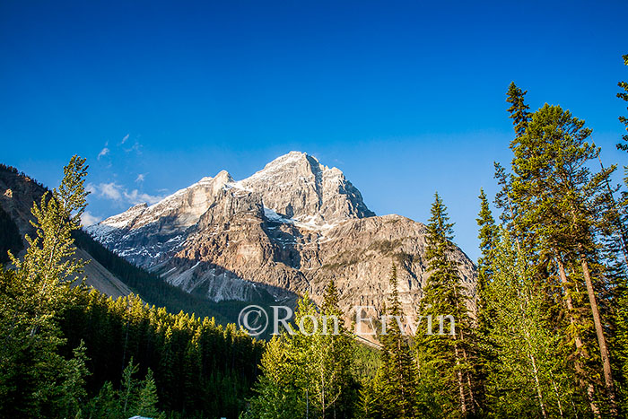 Cathedral Mountain, Yoho