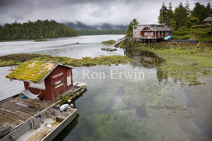 Tofino BC
