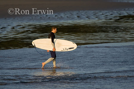 Surfer