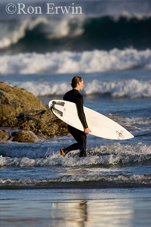 Surfer