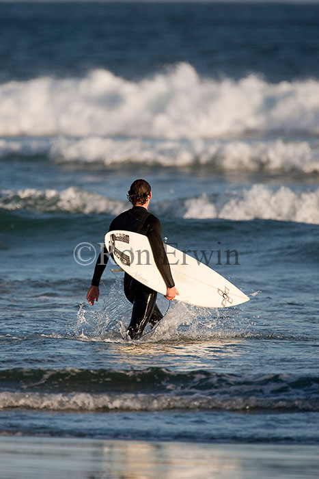 Surfer