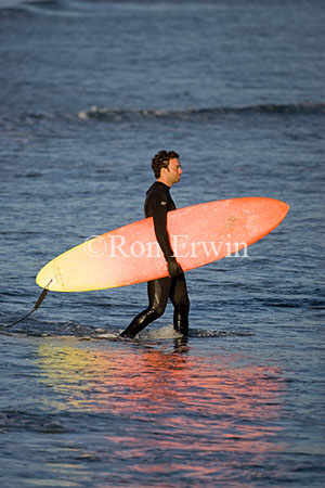 Surfer