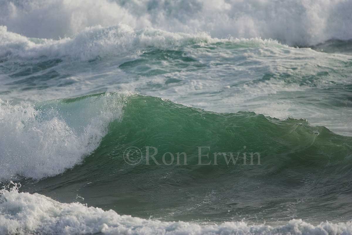 Pacific Waves, BC