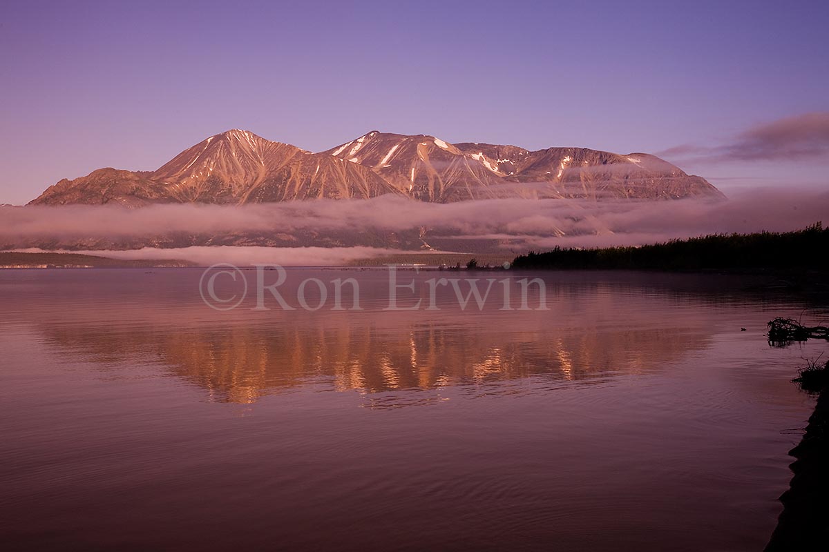 Fog & Atlin Lake, BC