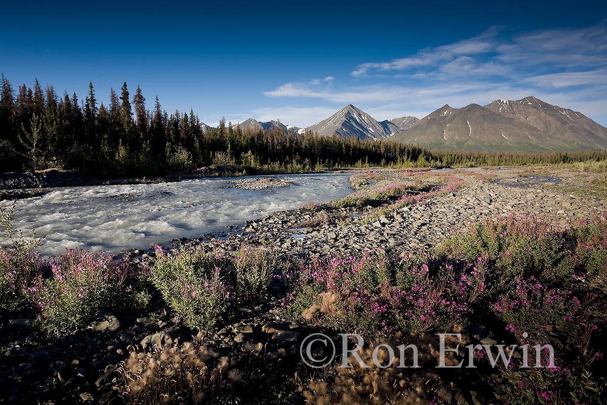 Quill Creek, Yukon