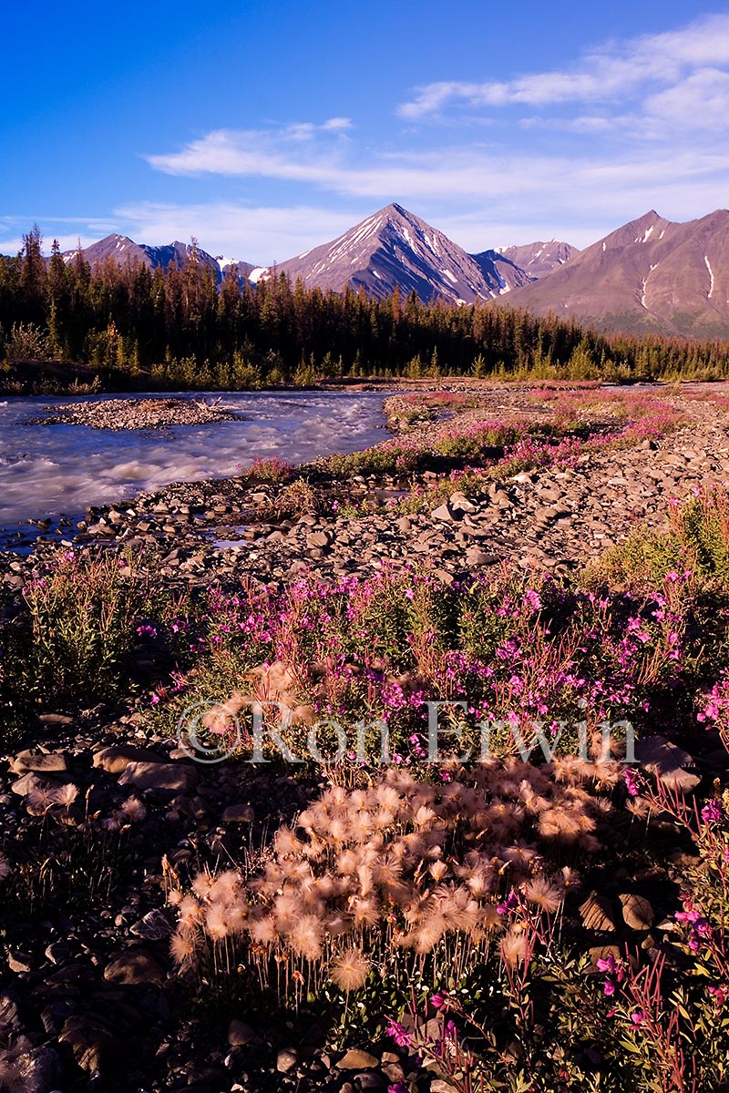 Quill Creek, Yukon