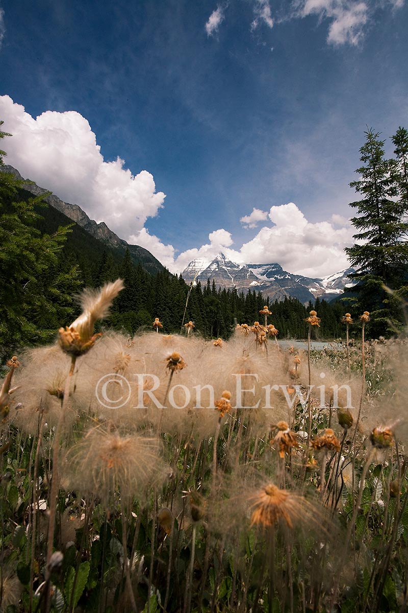 Mount Robson, BC