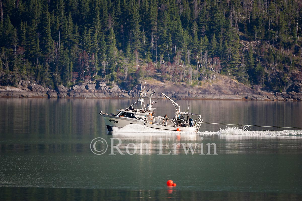 Fishing Boat, BC