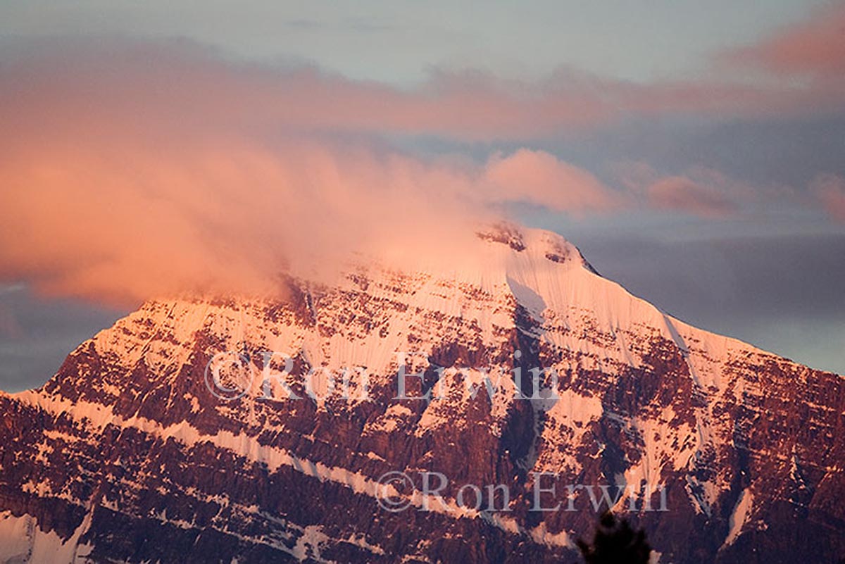 Mount Edith Cavell