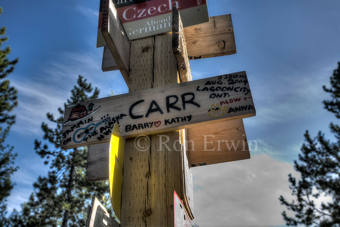 Signpost Forest