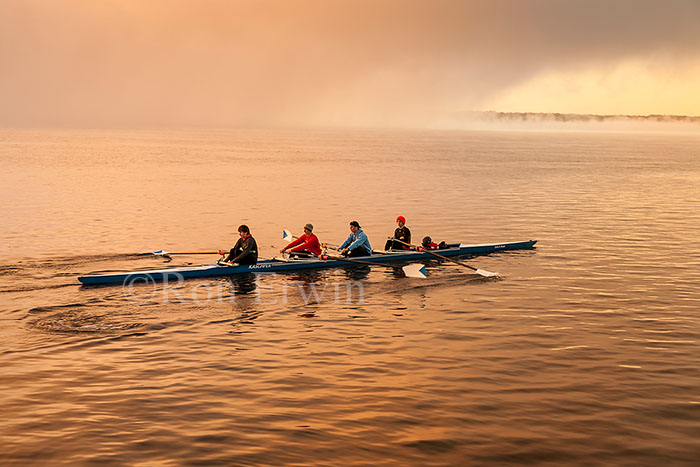 Rowing at Dawn