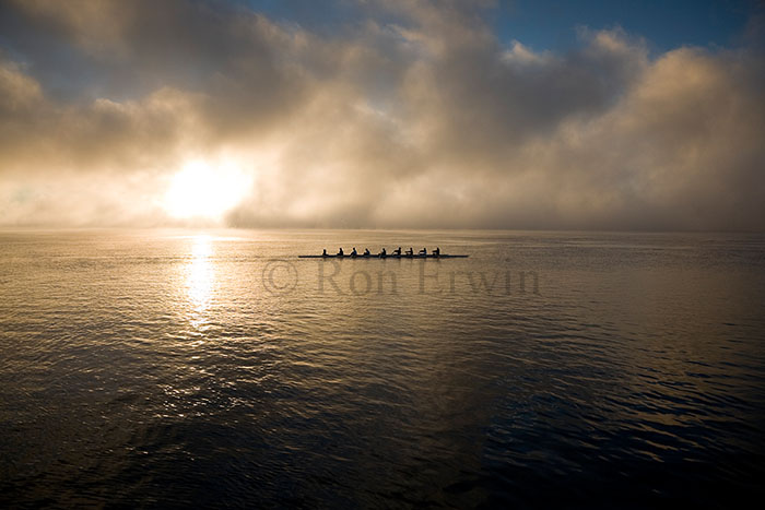 Rowers at Dawn