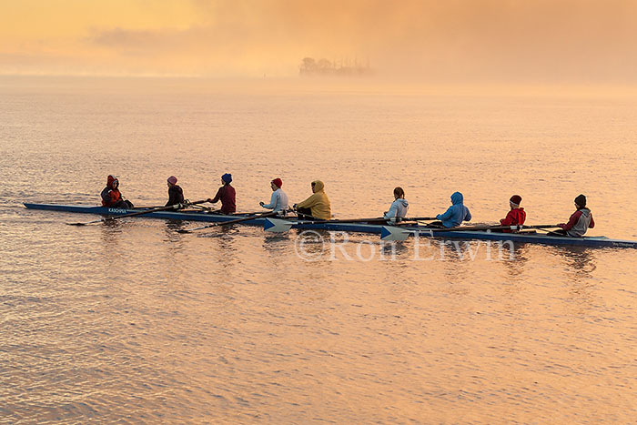 Rowing at Dawn