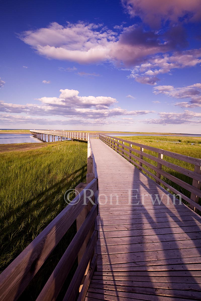 Kouchibouguac National Park, NB