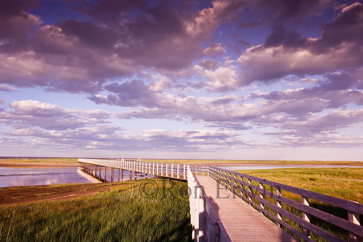 Kouchibouguac National Park, NB