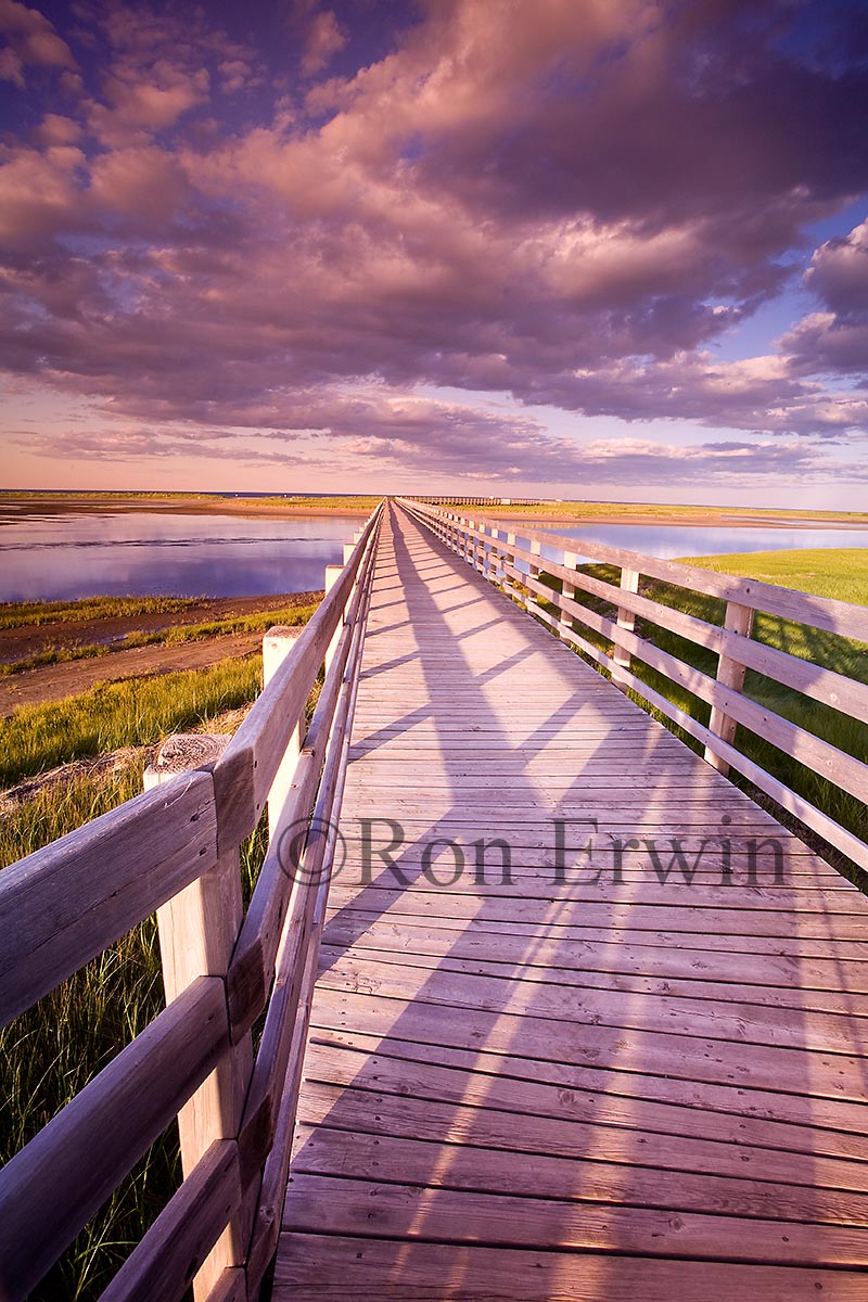 Kouchibouguac National Park, NB