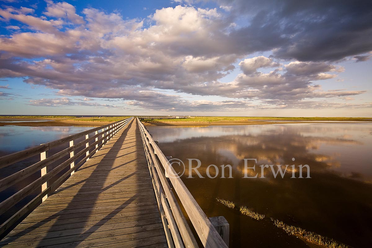 Kouchibouguac National Park, NB