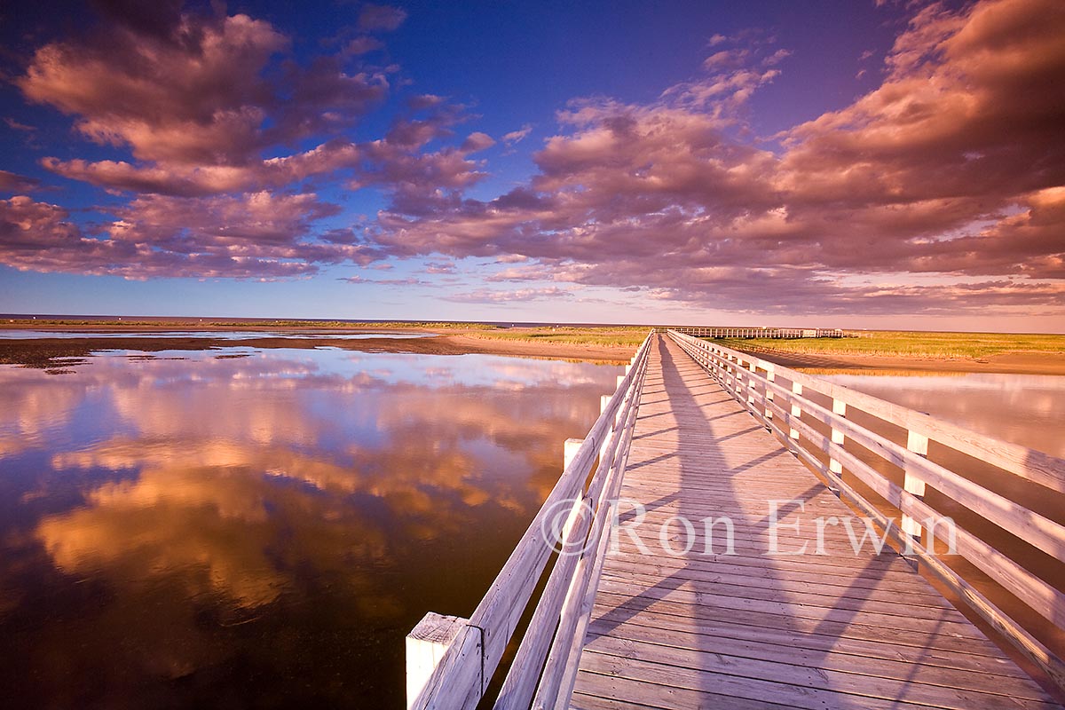 Kouchibouguac National Park, NB