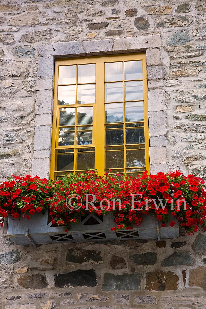 Window Box