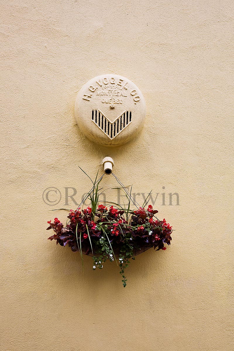 Floral Decoration, Old Quebec