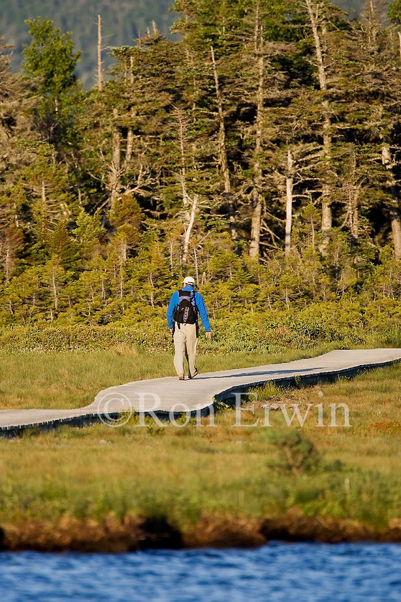 Hiking in Gros Morne