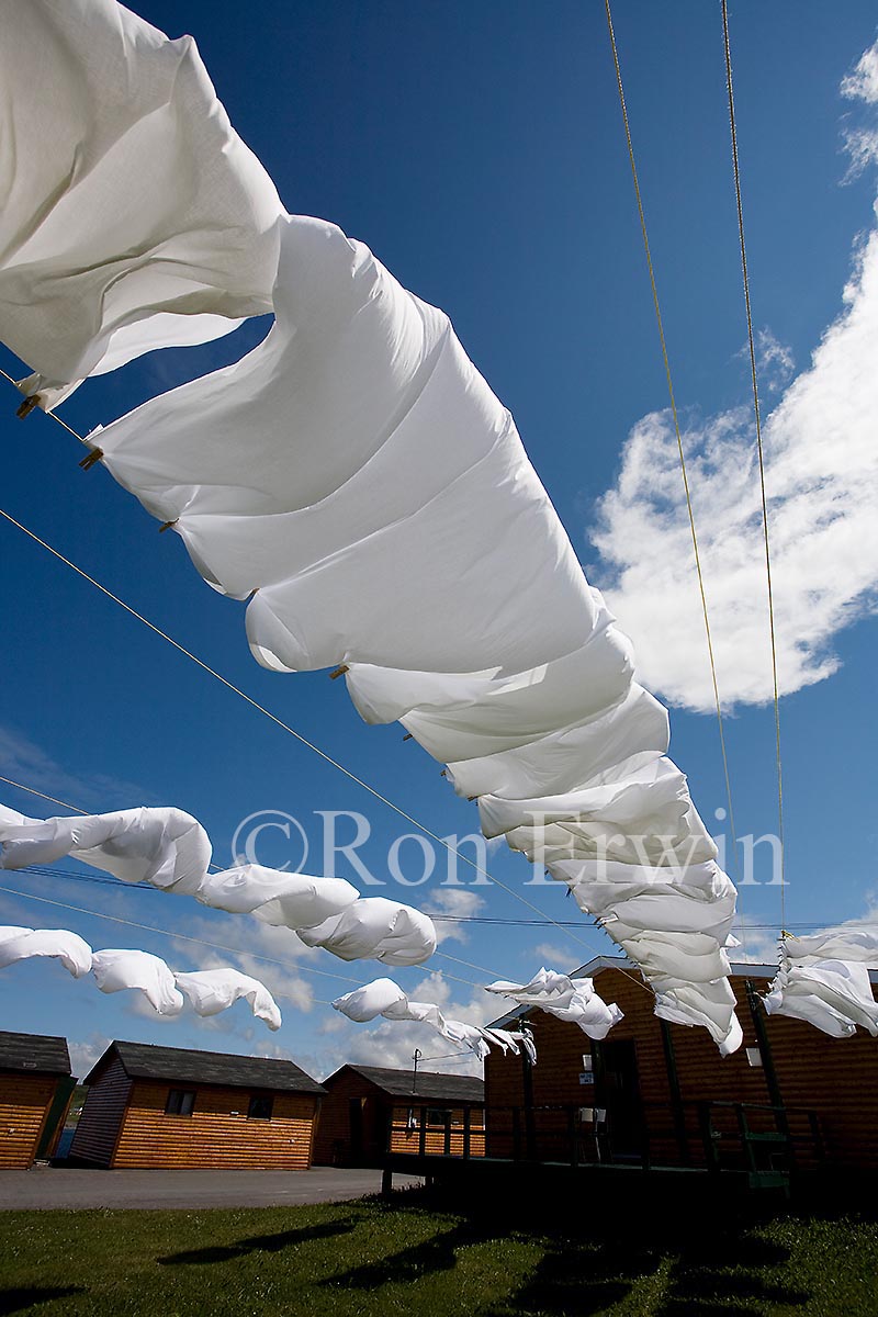 Drying Sheets