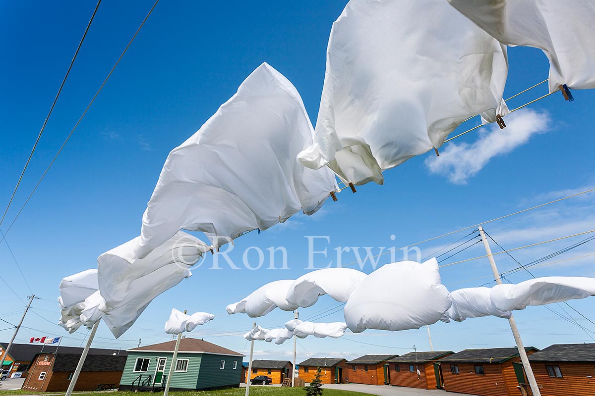 Drying Sheets
