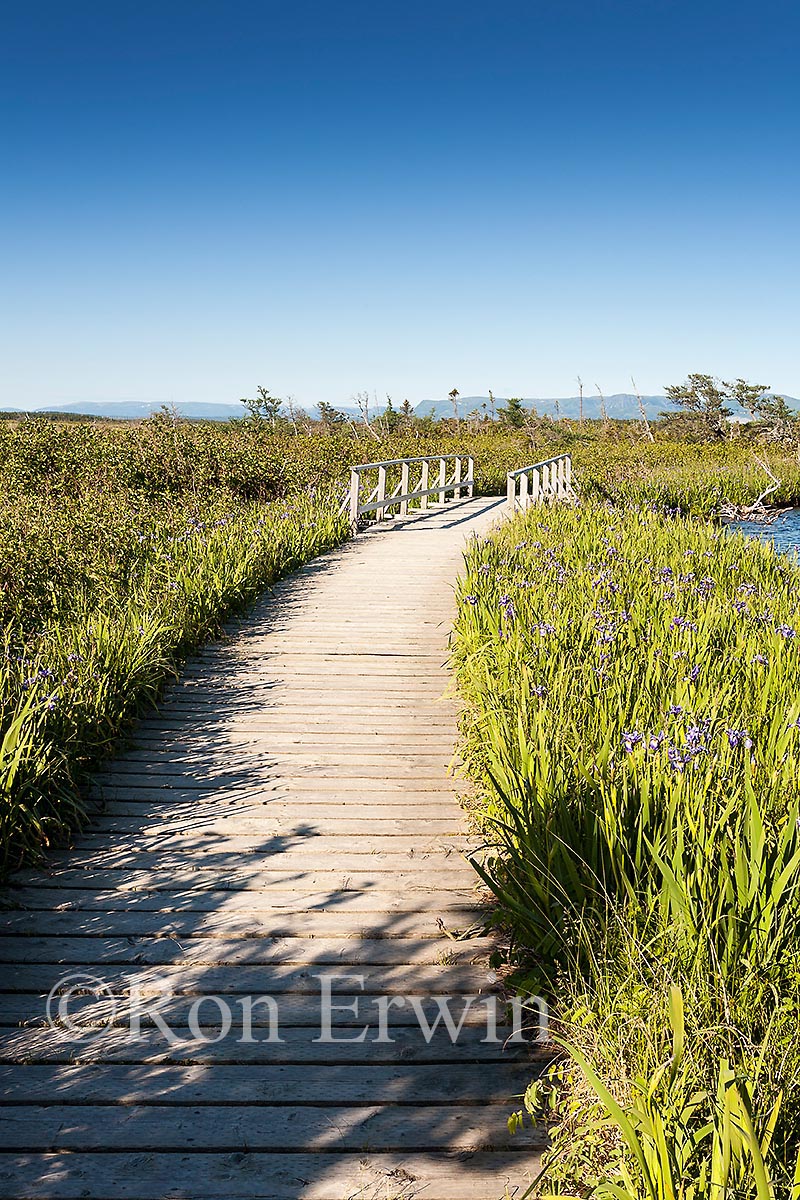 Western Brook Pond Trail, NL