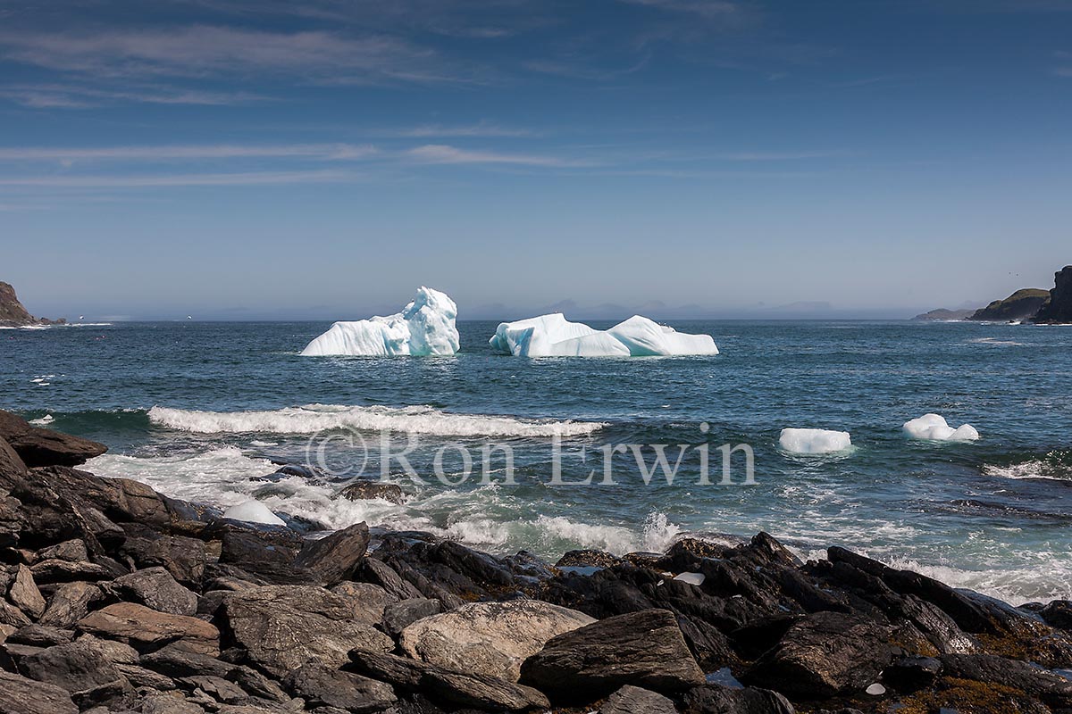 Icebergs, NL
