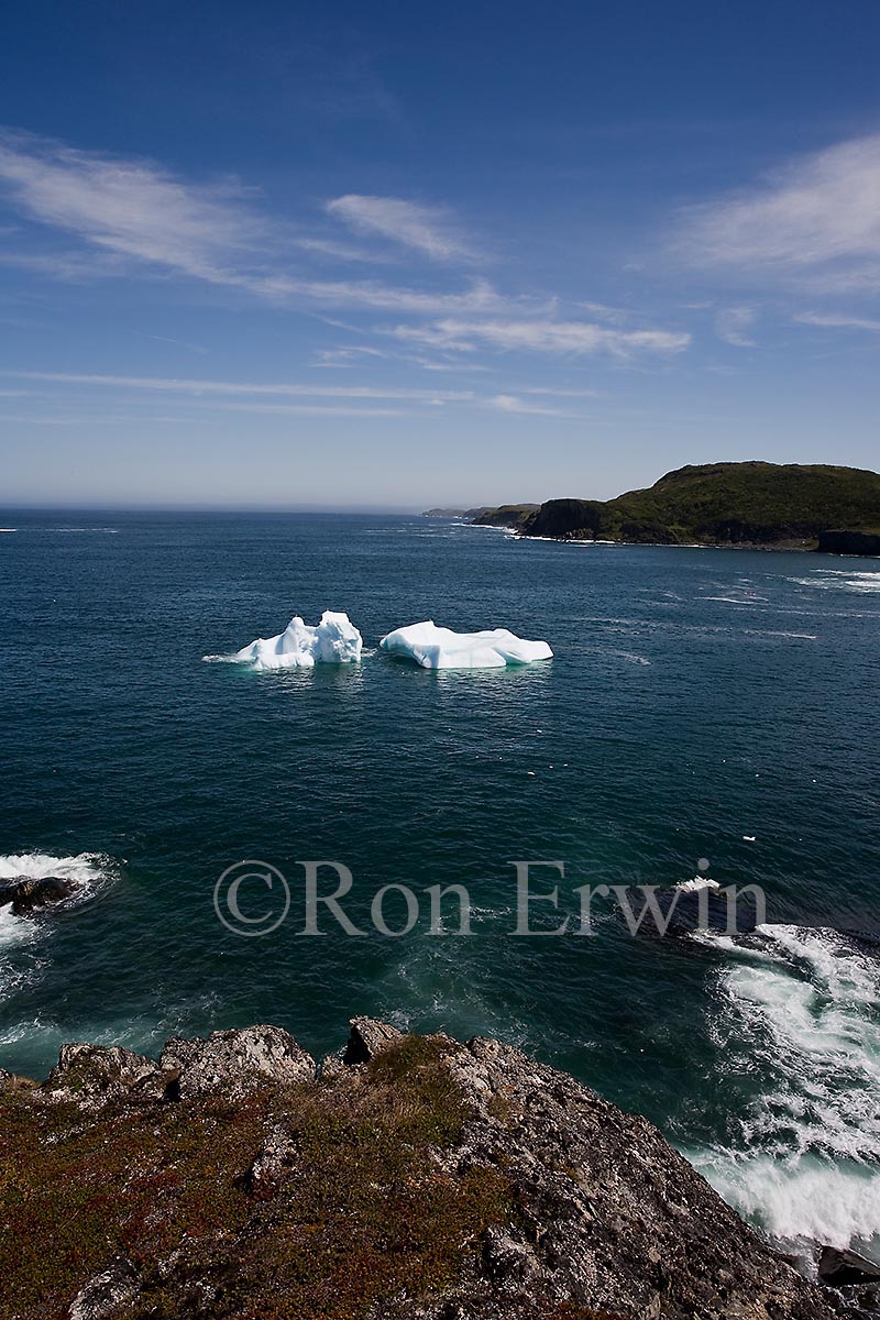 Icebergs, NL