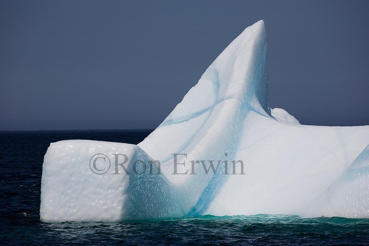 Icebergs, NL