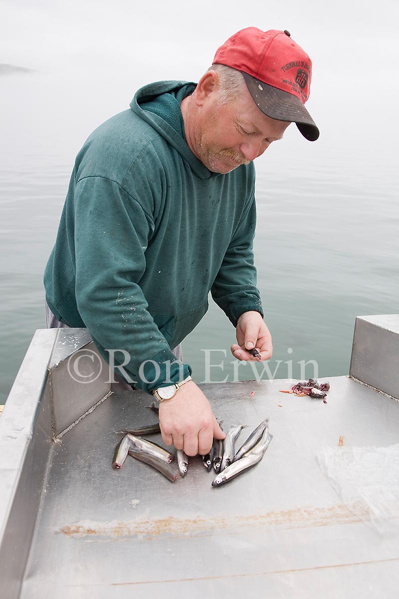Fisherman