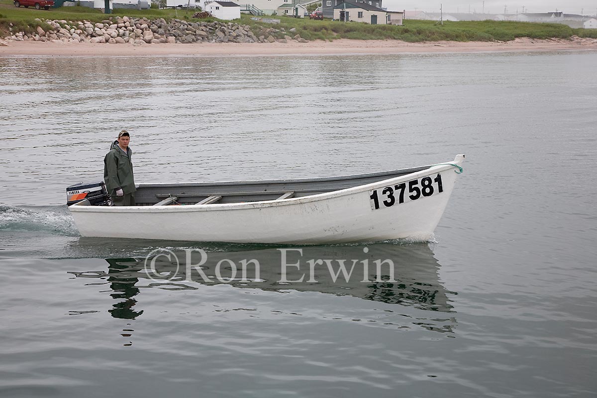 Capelin Fishing, Labrador