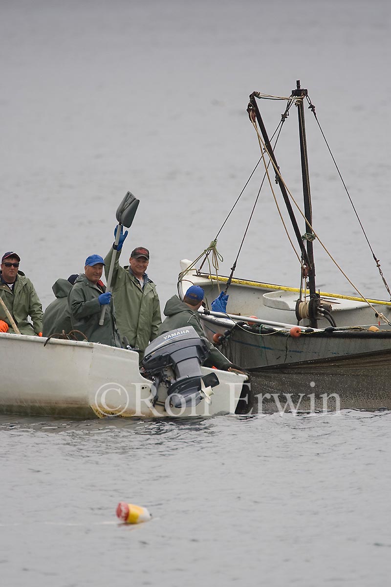 Capelin Fishing, Labrador