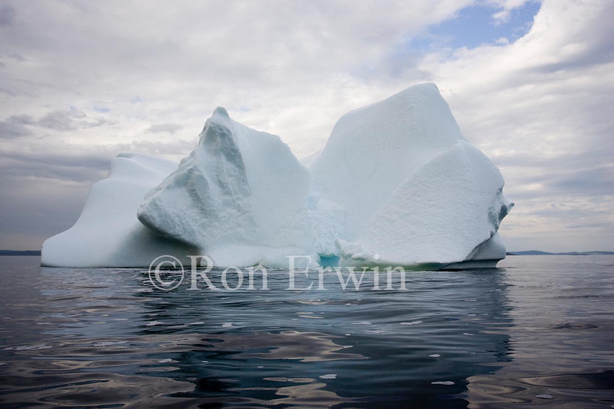 Labrador Iceberg