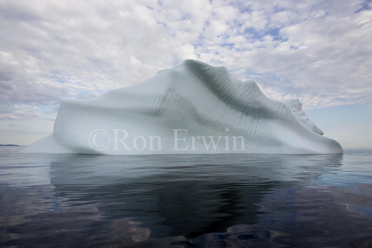 Labrador Iceberg