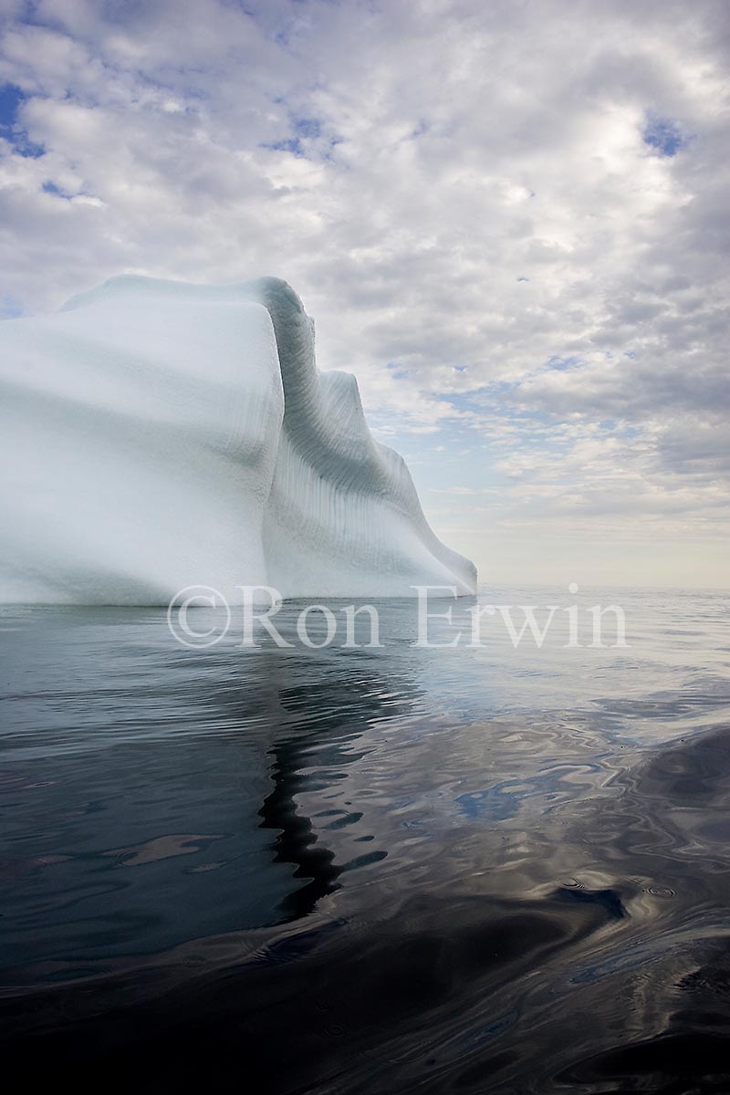 Labrador Iceberg