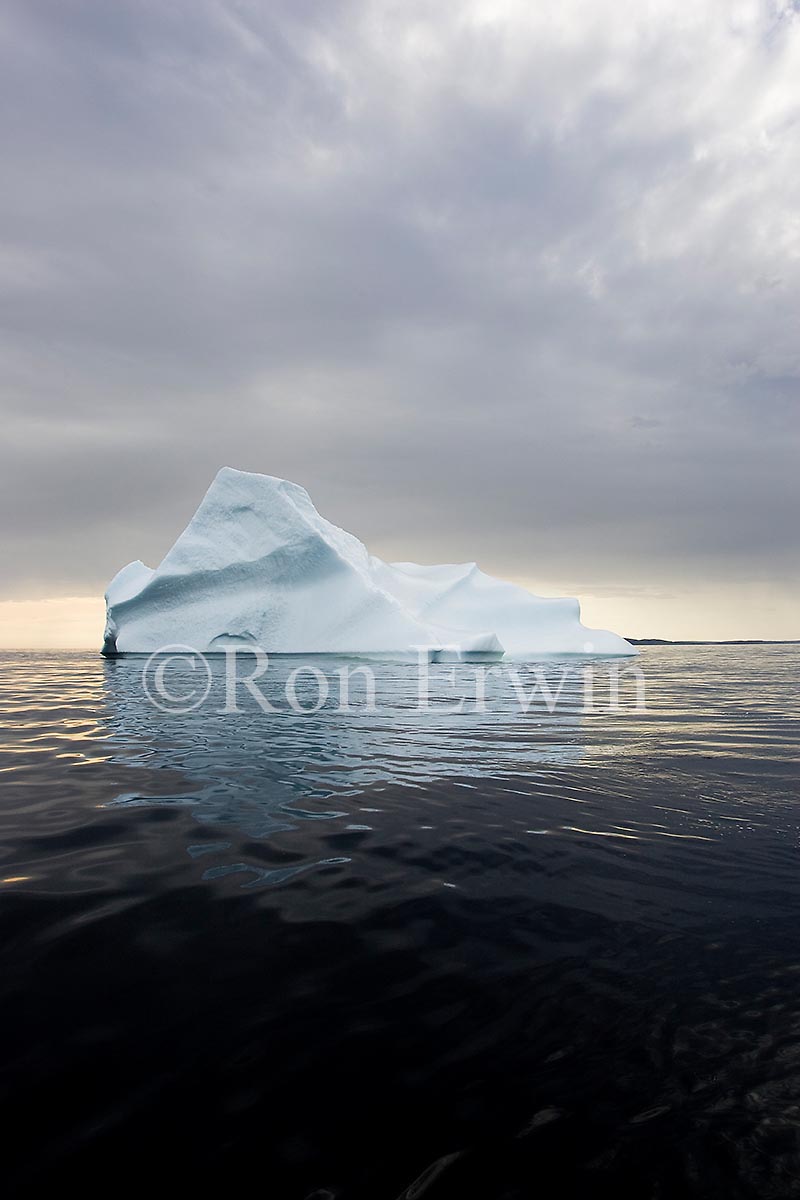 Labrador Iceberg