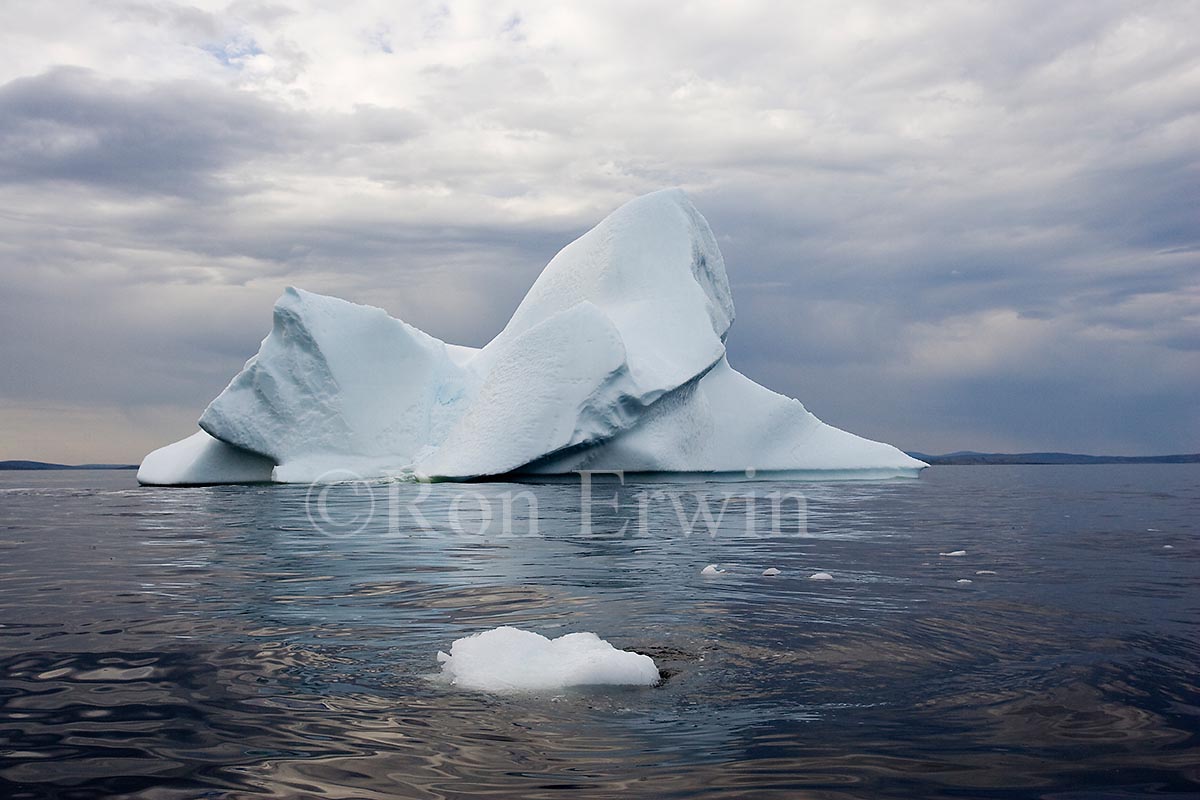 Labrador Iceberg
