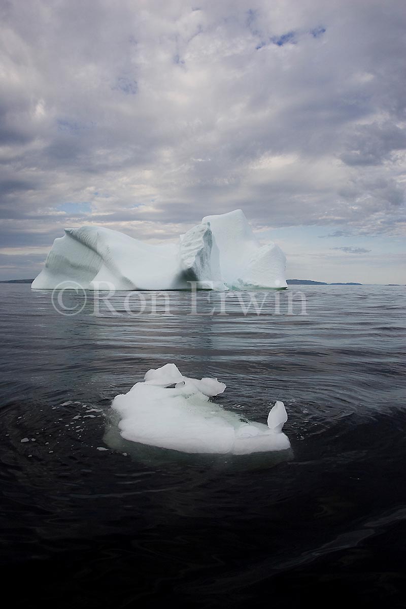 Labrador Iceberg