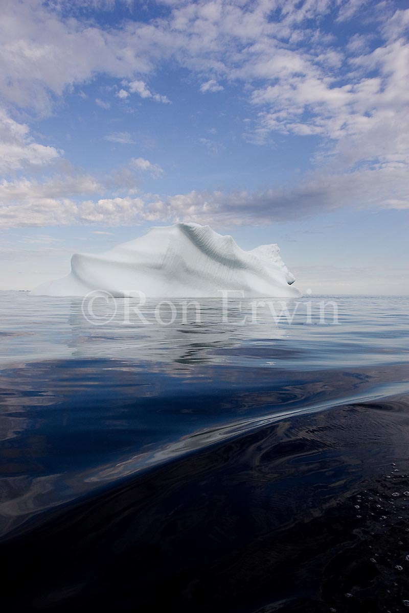 Labrador Iceberg