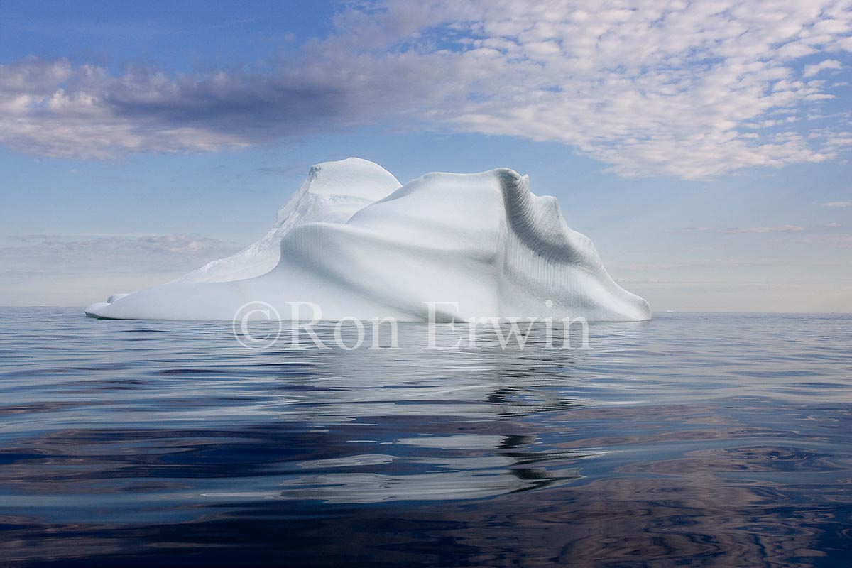 Labrador Iceberg